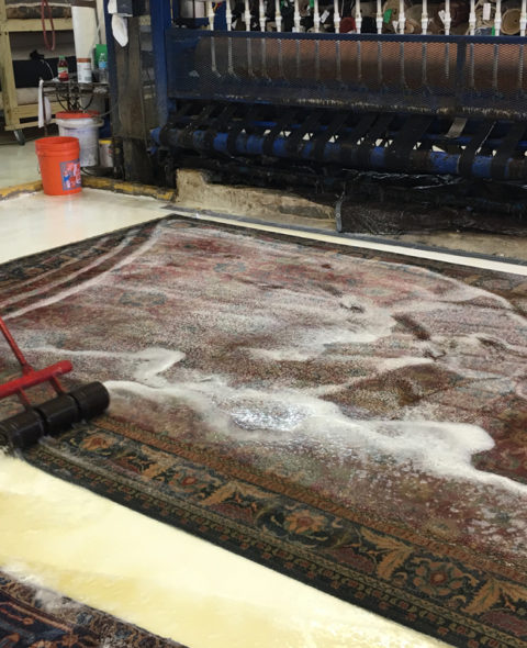 Modern Rug Cleaning