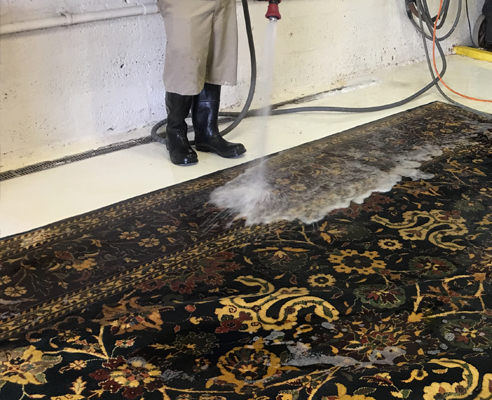 Antique Rug Stain Cleaning Fort Lauderdale