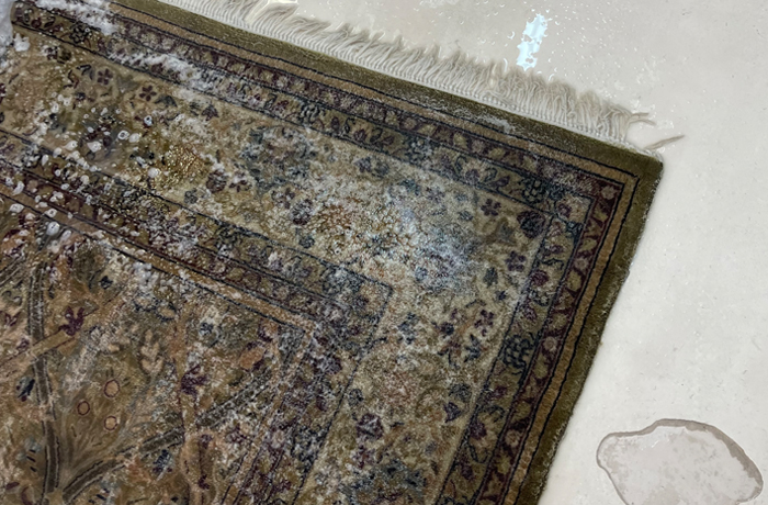 Antique Rug Cleaning Palm Beach