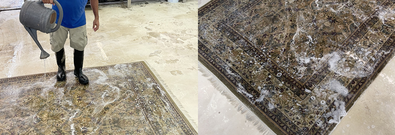 Expert Area Rug Cleaning Service