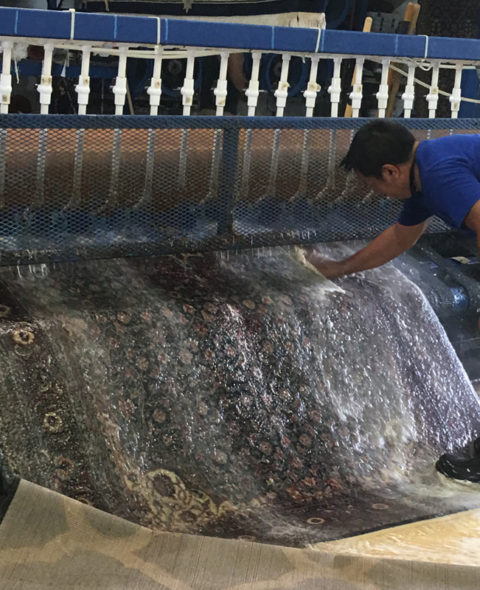 Chinese Rug Cleaning