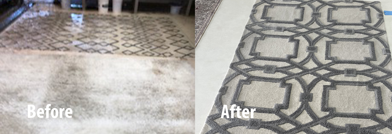 Parkland Rug Cleaning Service