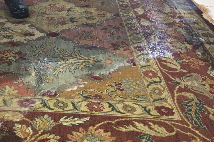 Persian Rug Cleaning Jacksonville