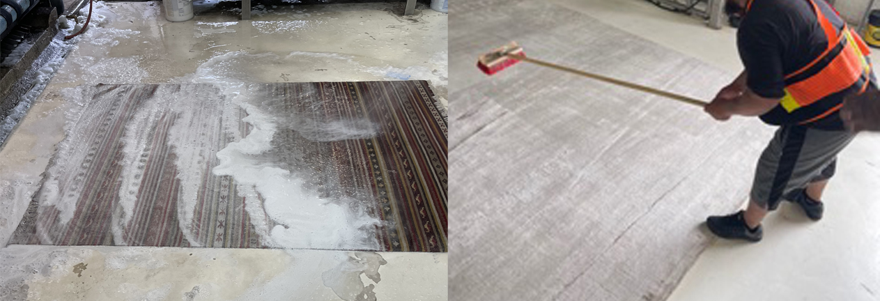 area Rug Cleaning Weston