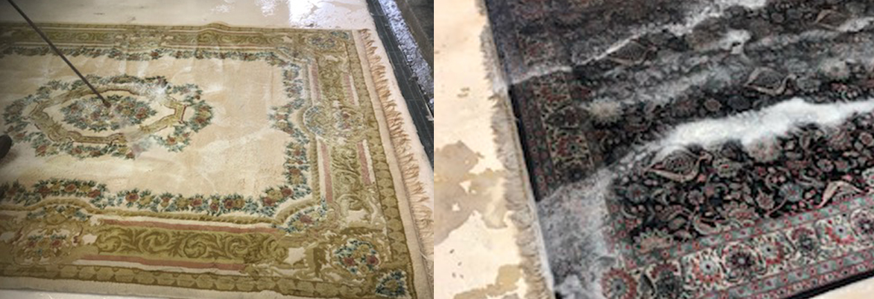 Fort Lauderdale Rug Cleaning