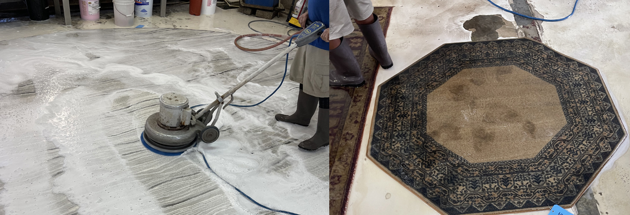 Wellington Area Rug Stain Cleaning