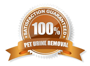 Guaranteed Pet Odor Removal